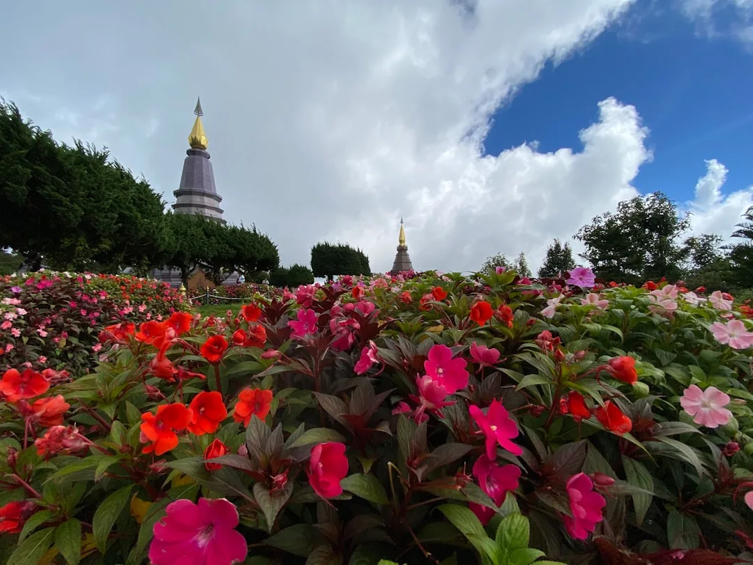 ดอยอินทนนท์ เที่ยววันเดียวจากเชียงใหม่ — ยอดดอยสูงสุดของไทย น้ำตก พระธาตุ เส้นทางธรรมชาติ