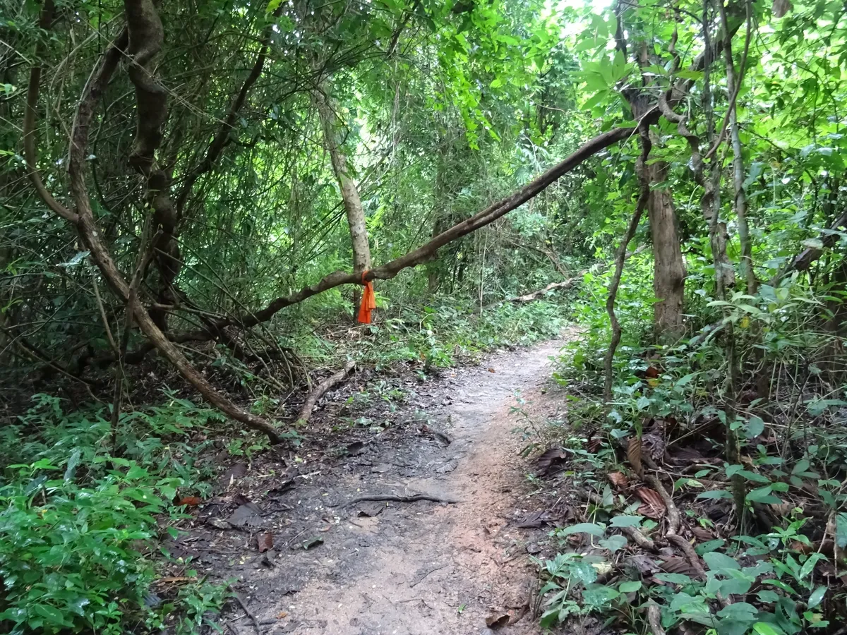 จุดเริ่มต้นเส้นทาง Monk's Trail ลัดเลาะริมลำห้วยห้วยแก้ว