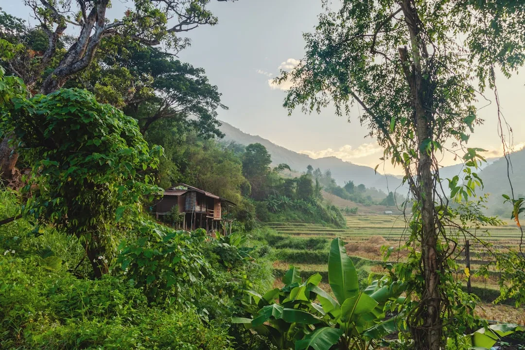 Traditional bamboo ridge homestay balcony overlooking Doi Luang Chiang Dao limestone cliffs shrouded in morning mist.
