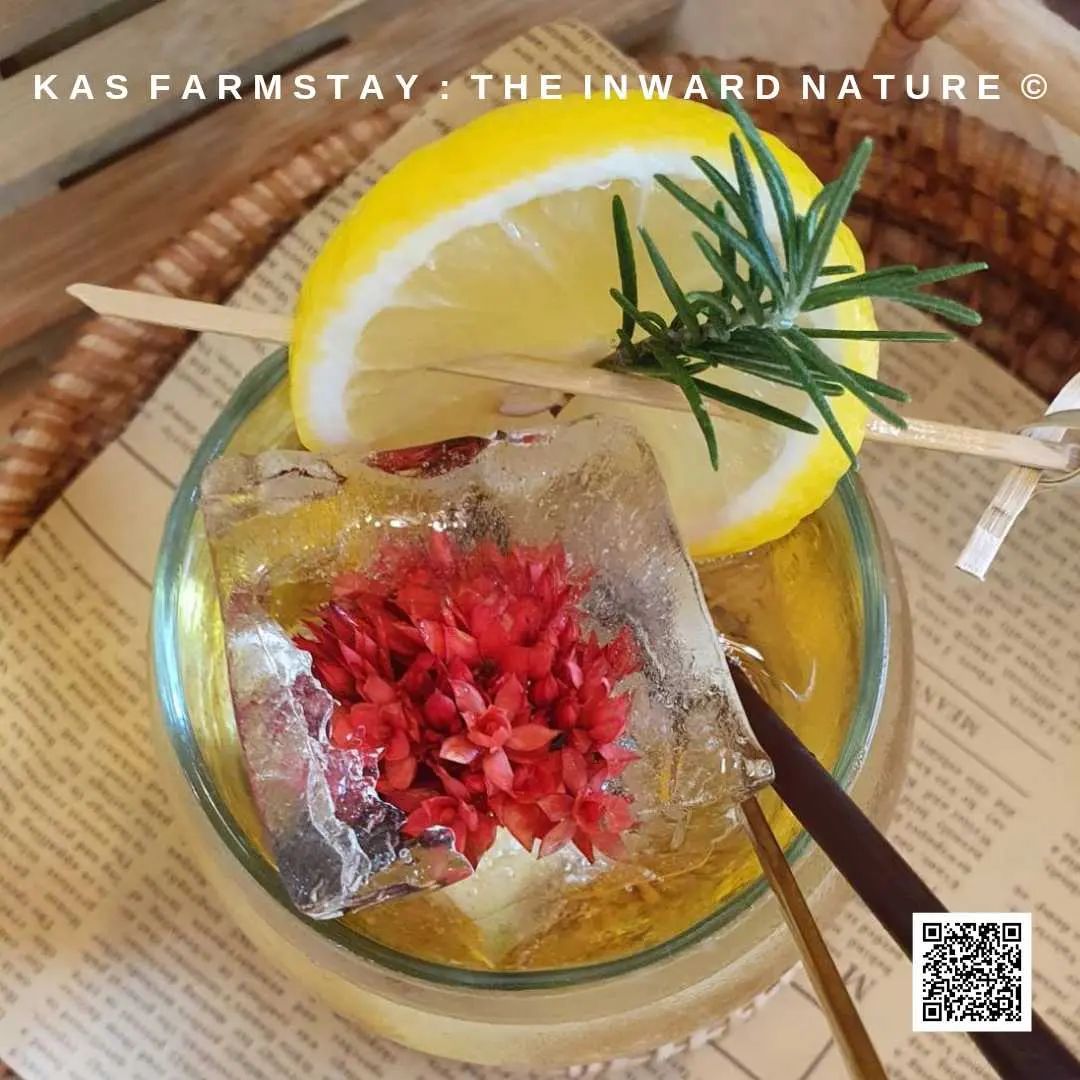 วิถีเกษตรอินทรีย์แบบดั้งเดิม KAS Farmstay
