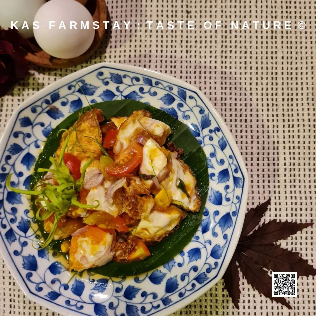 ผลผลิตอินทรีย์สดจากสวน KAS Farmstay